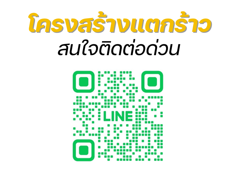 โครงสร้างแตกร้าว (1)